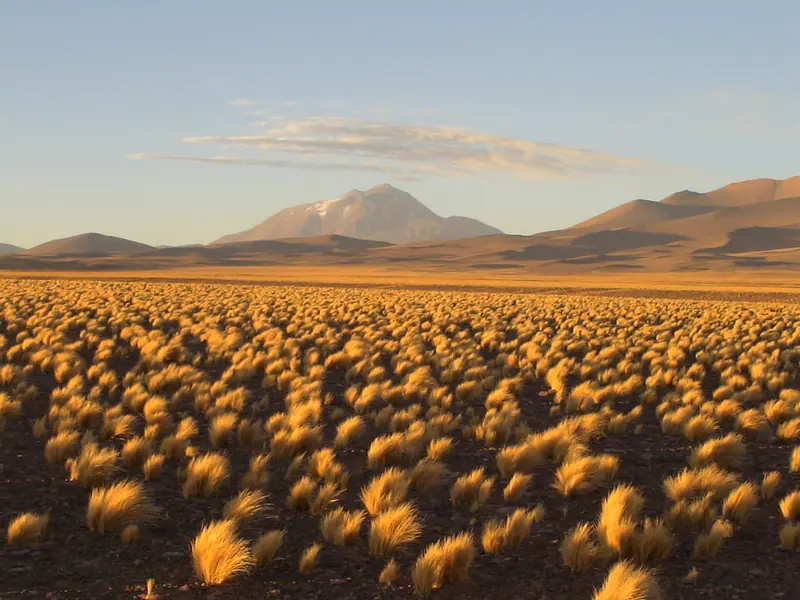Parque Nacional Llullaillaco