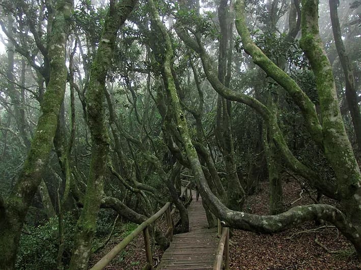 Parque Nacional Fray Jorge