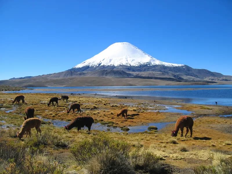 Lago Chungará